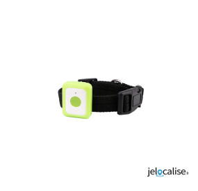 balise gps pour chien