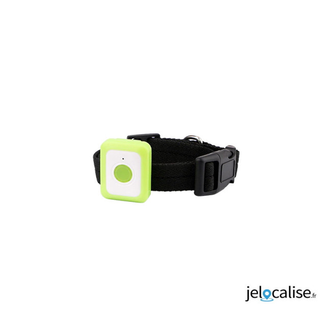 Puce gps chien - Cdiscount